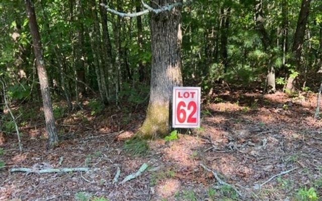 LT61&62 Honeysuckle Way, Ellijay, GA 30540