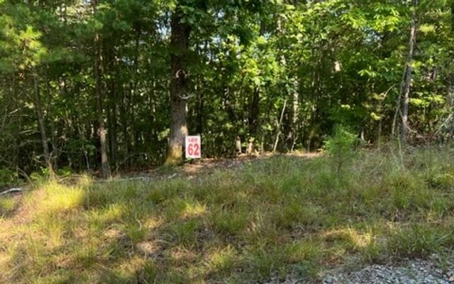 LT61&62 Honeysuckle Way, Ellijay, GA 30540
