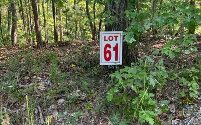 LT61&62 Honeysuckle Way, Ellijay, GA 30540