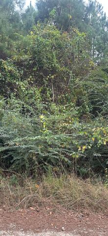 TBD Williams Drive, Livingston, TX 77351