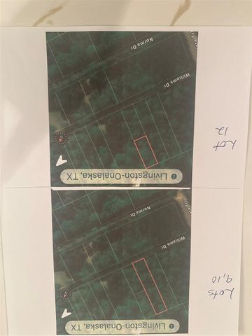 TBD Williams Drive, Livingston, TX 77351
