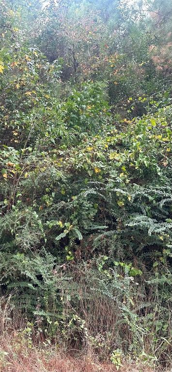 TBD Williams Drive, Livingston, TX 77351