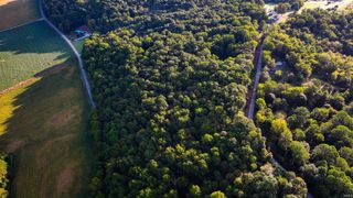 0 Braysville Road, Spencer, IN 47460