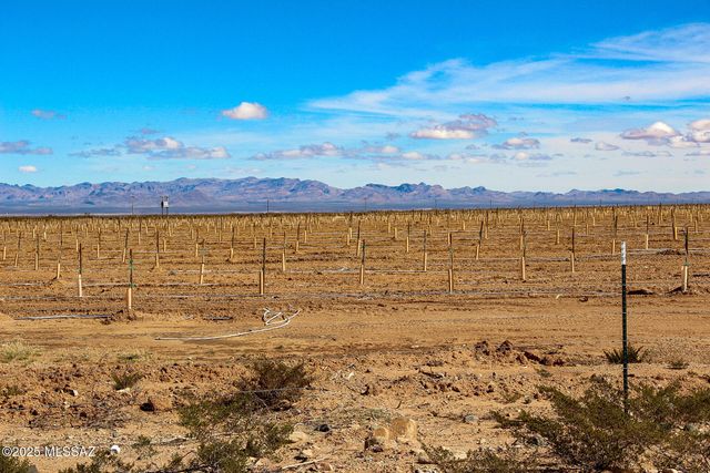 Oneal Road # 1, San Simon, AZ 85632