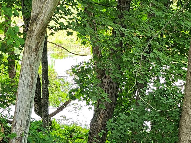 126 Meredith Center Road, Meredith, NH 03253