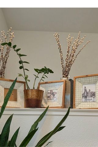 50 Driftwood Circle, Bay Point, CA 94565