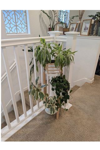 50 Driftwood Circle, Bay Point, CA 94565