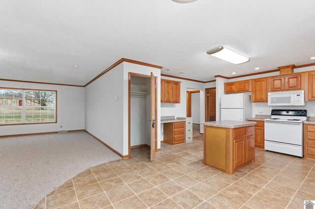 1080 St Rt 1241, Mayfield, KY 42066