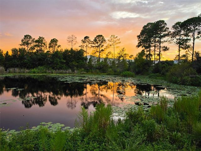 17319 MILLION LAKES COURT, Clermont, FL 34714