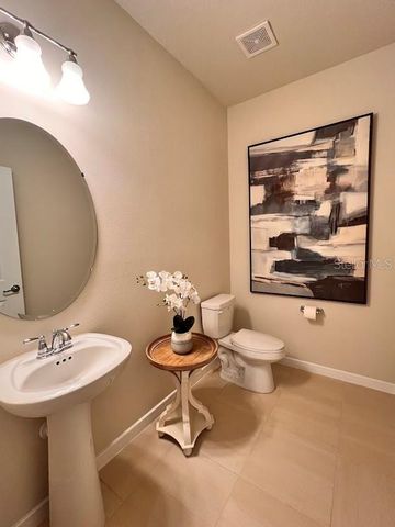 17319 MILLION LAKES COURT, Clermont, FL 34714