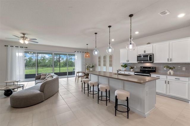 17319 MILLION LAKES COURT, Clermont, FL 34714