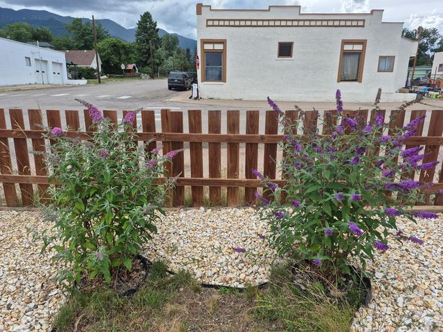 2087 Main St, Rye, CO 81069