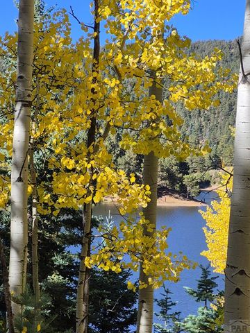 2087 Main St, Rye, CO 81069