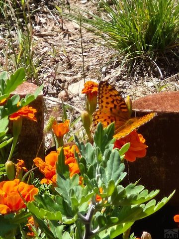 2087 Main St, Rye, CO 81069