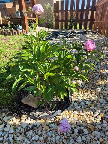 2087 Main St, Rye, CO 81069