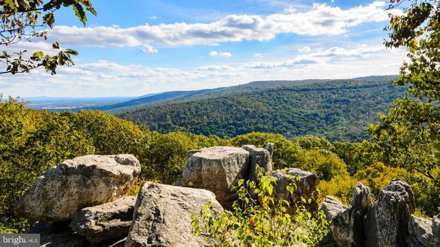 HOMESITE 5 BUTTERFLY LN, Frederick, MD 21703