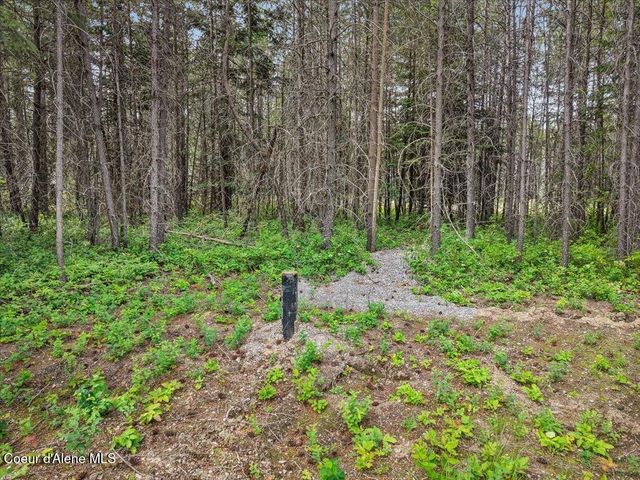 NKA W Sturgeon Rd Lot 2, Rathdrum, ID 83858