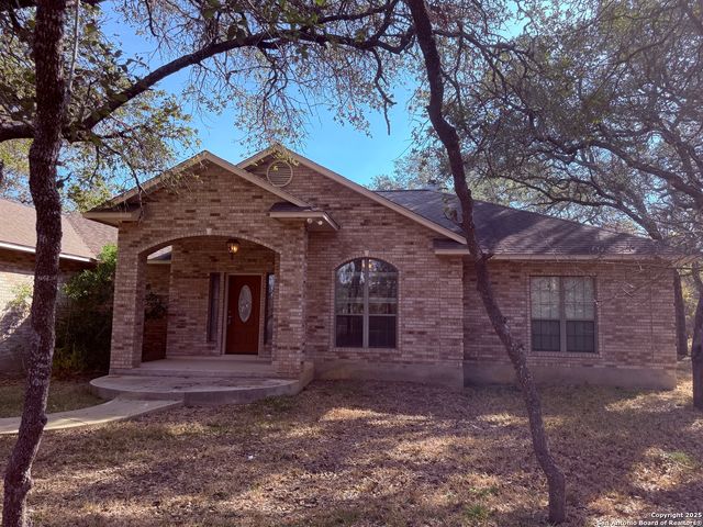 250 Palomino, Natalia, TX 78059