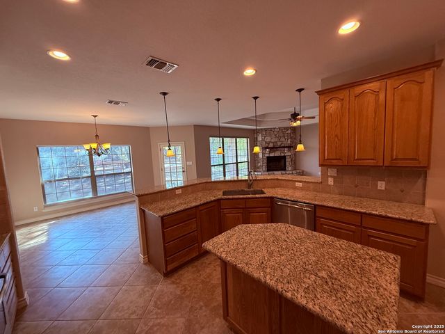 250 Palomino, Natalia, TX 78059