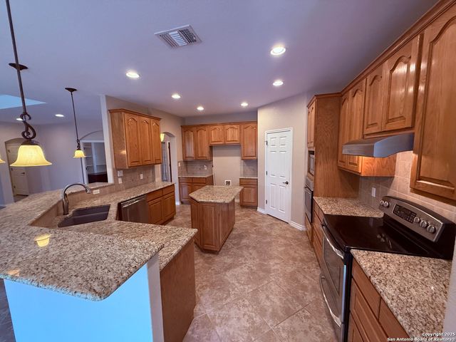 250 Palomino, Natalia, TX 78059