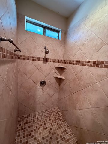 250 Palomino, Natalia, TX 78059