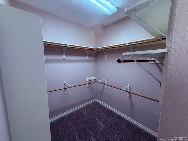 250 Palomino, Natalia, TX 78059