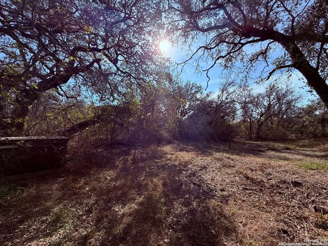 250 Palomino, Natalia, TX 78059