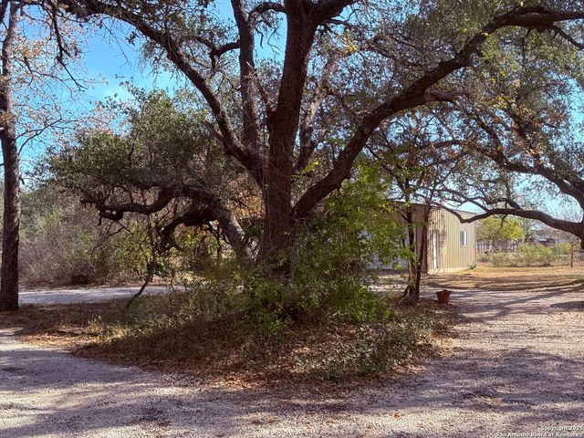 250 Palomino, Natalia, TX 78059