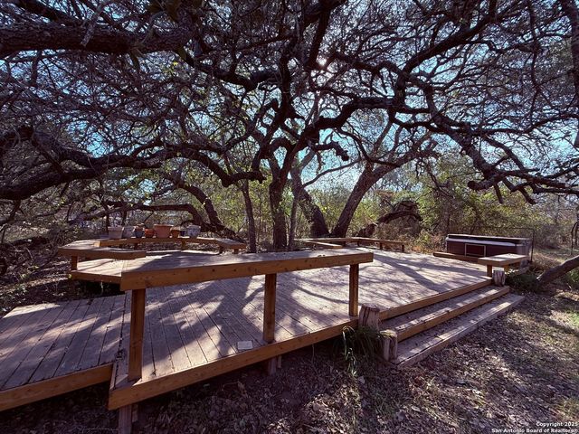 250 Palomino, Natalia, TX 78059