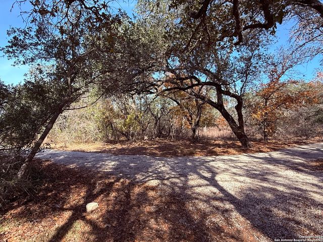 250 Palomino, Natalia, TX 78059