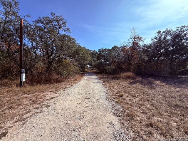 250 Palomino, Natalia, TX 78059