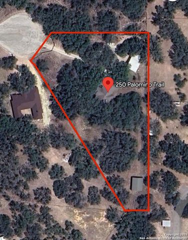 250 Palomino, Natalia, TX 78059