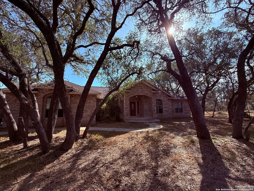 250 Palomino, Natalia, TX 78059