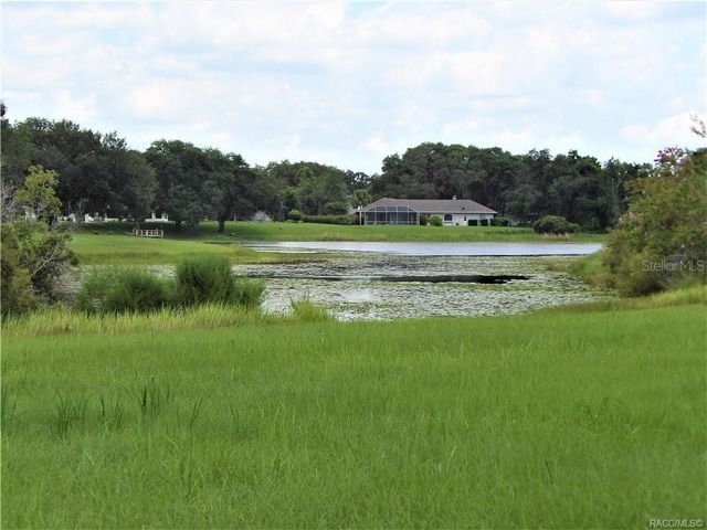 9546 E BAYMEADOWS DRIVE, Inverness, FL 34450