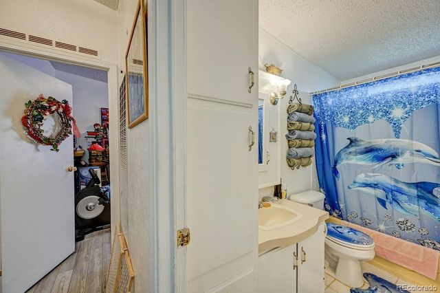 121 Brookdale, Buena Vista, CO 81211