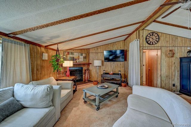 121 Brookdale, Buena Vista, CO 81211