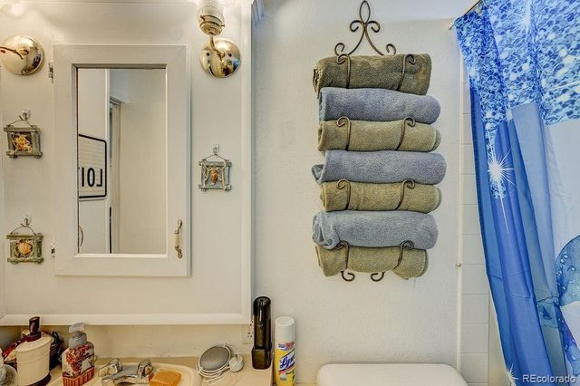 121 Brookdale, Buena Vista, CO 81211