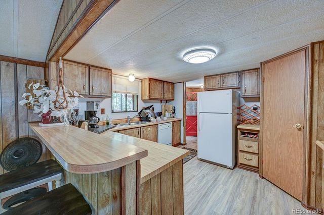 121 Brookdale, Buena Vista, CO 81211