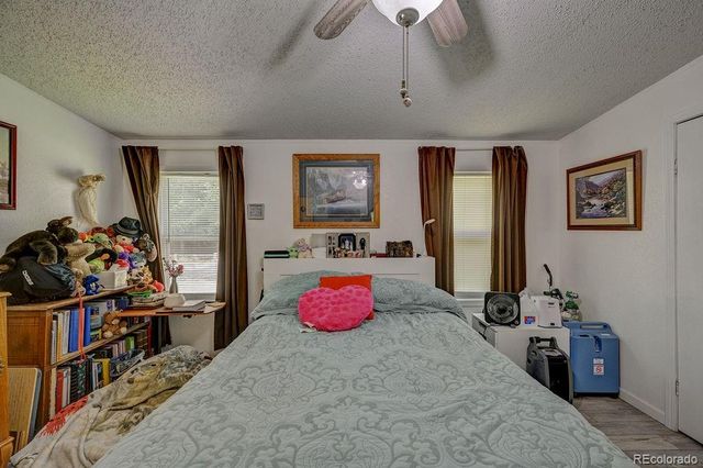 121 Brookdale, Buena Vista, CO 81211