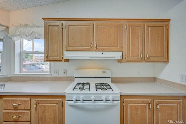 121 Brookdale, Buena Vista, CO 81211