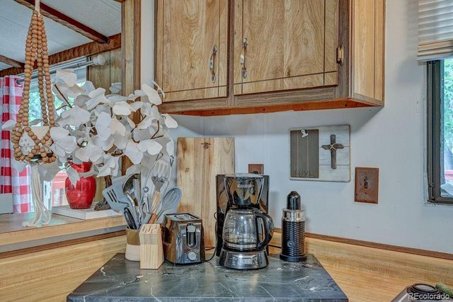 121 Brookdale, Buena Vista, CO 81211