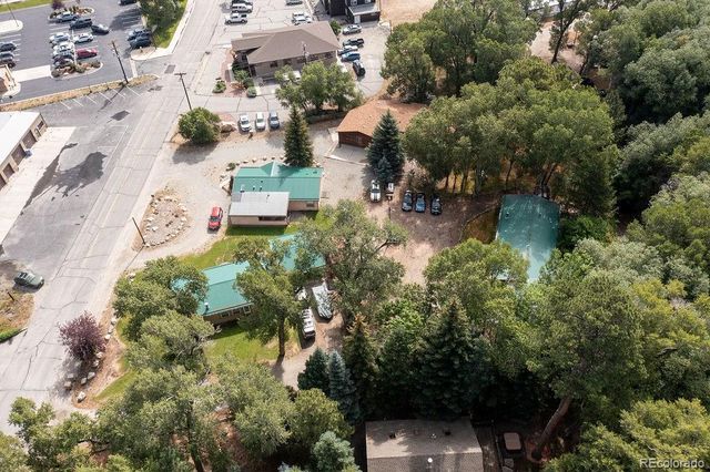 121 Brookdale, Buena Vista, CO 81211