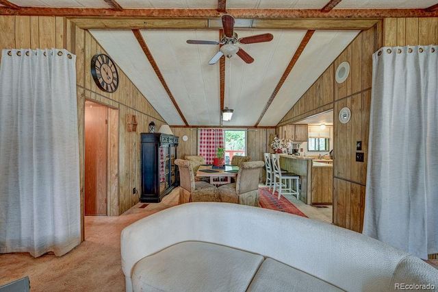 121 Brookdale, Buena Vista, CO 81211