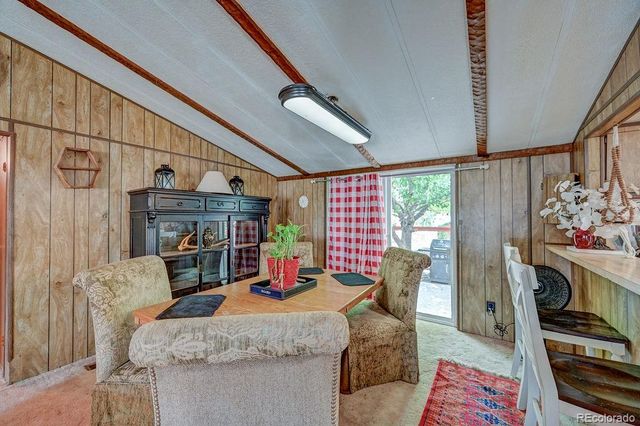 121 Brookdale, Buena Vista, CO 81211