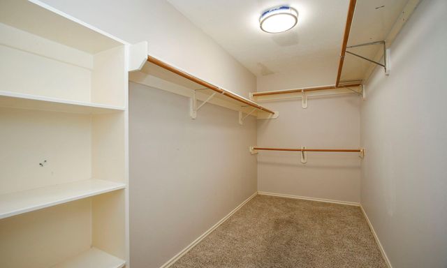 10314 Cliff Haven Court, Houston, TX 77095
