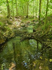 0 Holiday Lake Road, Appomattox, VA 24522