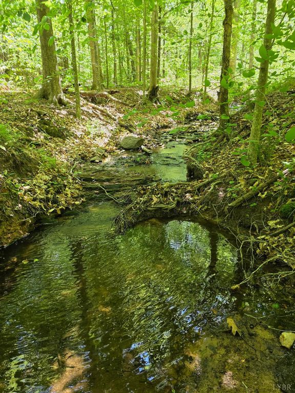 0 Holiday Lake Road, Appomattox, VA 24522