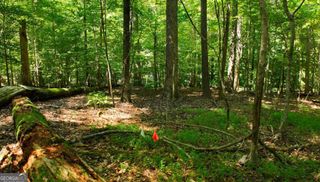 2771 Gardenwood Court SW, Lilburn, GA 30047