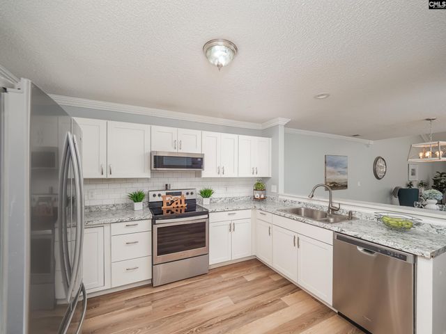 206 Tidas Street, Lexington, SC 29072