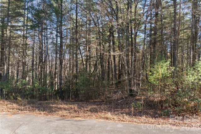 0 Daylily Drive Lot 20, Hendersonville, NC 28739
